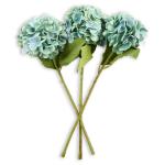 Blue Green Hydrangea