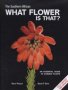 The Southern African What Flower Is That? - An Essential Guide To Garden Plants   Hardcover