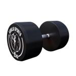 Fixed Dumbbell 35KG