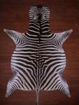 A Grade Zebra Hide 073 M