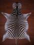 A Grade Zebra Hide 073 M