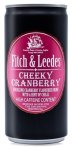 Cheeky Cranberry - 24 X 200ML