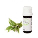 Escentia Sage Essential Oil - 11ML