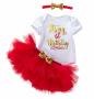 Its My 1ST Birthday Outfit Baby Girl Romper Tulle Skirt Tutu Dress Princess Clothes Smash Cake Set 018F 12-24 Months