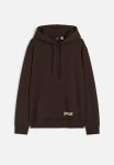 Regular Fit Hoodie - Brown spongebob