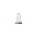 Glass Dome With Pine Base - 6X7CM