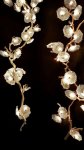 Inflorescence Suspension Light