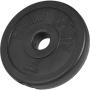 Unboxed Deal - Vinyl Weight Plate 1.25KG