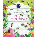 : Peep Inside A Beehive