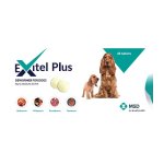 Dewormer For Dogs