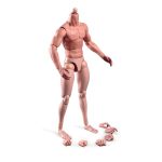 Souforce 1 6 Scale Muscle Male Body 12IN Flexible Muscle Male Action Figure Doll Miniature Figure Without Head Sculpt