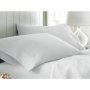 Rey& 39 S Fine Linen - Pillow Cover Set - Plain - 100% Cotton - 200 Thread Count - White - Continental
