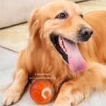 Interactive Electric Jumping Ball Dog Toy - Durable Rechargeable & Safe For Small To Medium Breeds - Keeps Pets Entertained & Pr