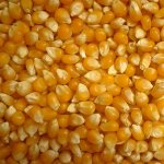 Popcorn – Butterfly