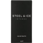 Steel & Ice Intense Eau De Toilette 100ML