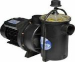 Self-priming Pool Pump 0.75KW