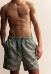 Patterned Swim Shorts - Green Striped