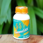 Flammefixx 60 Capsules Bioflora