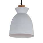 Charlotte Metal Pendant Light - Green