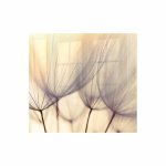 Decorative Glass Wall Tile 598 X 650 X 6MM Dandelion Floret