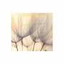 Decorative Glass Wall Tile 598 X 650 X 6MM Dandelion Floret