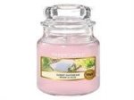 Yankee Candle Sunny Daydream Small Jar Retail Box No Warranty