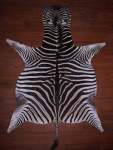 A Grade Zebra Hide 085 M