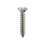 W screw S br Csk Slot NO12 5.5X60