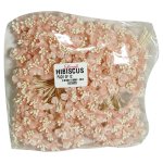 Hibiscus Pink Pack Of 12