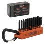 Ball End Hex Bit Set - Railer 2 Inch Impact Driver 20PC Hex Bit Set With A Bit Holder & Carabiner. Premium S2 Steel