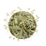 Senna Leaves Cut - 100G