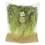 Pnp Summer Crisp Lettuce Heads