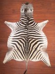 A Grade Zebra Hide 044 L