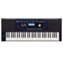 Roland E-X30 61 Key Arranger Keyboard