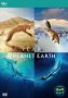 A Year On Planet Earth DVD