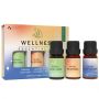 Wellness Essential Oils Blends Set 3X10ML