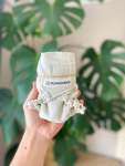 Dawn Patrol MINI Singles Newborn - Oatmeal Single