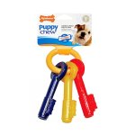 Nylabone Puppy Teething Keys Bacon - Medium