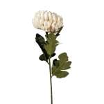 Chrysanthemum 72CM - Cream