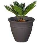 Jessica Plant Pot - Jumbo 600MM X 710MM Amper