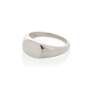 Oval Signet Ring In Silver - XL Polished