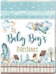 My Baby Boy& 39 S Milestones Cards