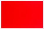 Parrot Info Board Plastic Frame 1200 900MM Red