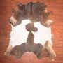 Bs Grade Nguni Hide 136 Brown/white XL - Extra Large / Brown/white / Spotted