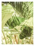 Gardena Garden Salad Art Print - A1