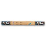 Divine Incense Sticks Large 10 Pack - The Spiritual Elevation - Success