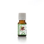 Cocoa Absolute Oil Organic - 5 Ml