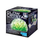 Glow Crystal Growing Kit