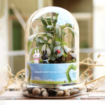 Micro Landscape Eco Bottle Glass Bottle Split Column 2 In 1 Cylindrical Bottle Making Container Moss Diy Transparent Glass Flowe