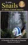Land Snails Of Belize Central America - A Remarkable Chronicle Of Diversity And Function Hardcover Annotated Edition